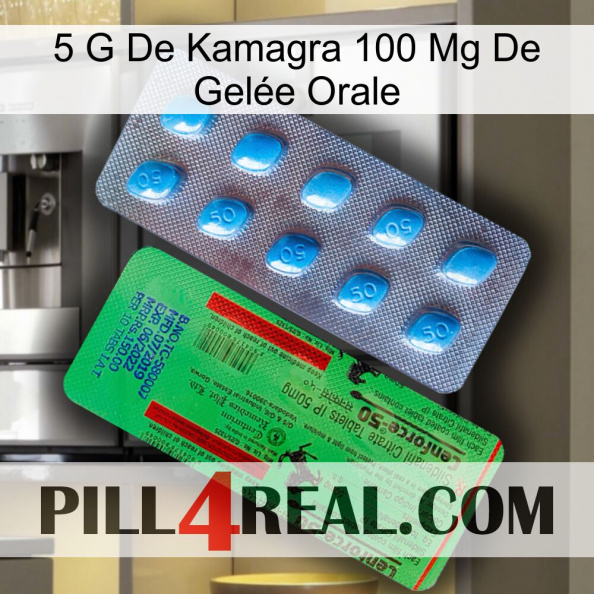 5 G De Kamagra 100 Mg De Gelée Orale new03.jpg
